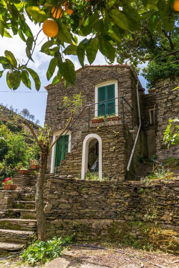 Villa Smith Vernazza Luaran gambar
